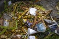 MedellÃÂ­n, Antioquia / Colombia. March 17, 2019. Garbage bin full of organic garbage. Royalty Free Stock Photo