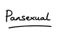 Pansexual Royalty Free Stock Photo