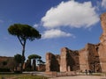 Terme di Caracalla ancient Roman Ruins in Rome