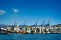 Terminal cranes and forklifts in Genova port