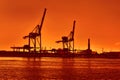 Terminal cranes silhouette and forklifts in Genova port at evening