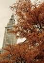 The Terminal Tower behind Autumn Leaves Royalty Free Stock Photo