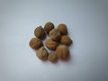 Terminalia Bellerica known as bahera or myrobalan bastard or bellicose dried fruit. Ayurvedic herbal medicine.