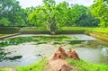 Termitary at the pond