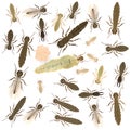 Termite animals - nest Royalty Free Stock Photo
