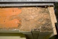 Termite Damage Royalty Free Stock Photo