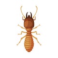Termite Harmful Insect, Pest Control and Extermination Concept Vector Illustration on White Background Royalty Free Stock Photo