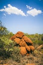 Termite hill Royalty Free Stock Photo