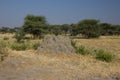 Termite hill in the african savannah on a sunny day Royalty Free Stock Photo