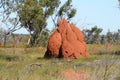 Termite hill Australia
