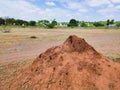 termite hill colony, made of red sand Royalty Free Stock Photo