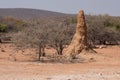 Termite Hill in Kaokoveld, Namibia Royalty Free Stock Photo