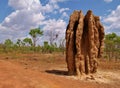 Termite hill, mound Royalty Free Stock Photo