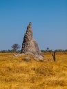 Termite hill in Okavango region