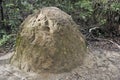 Termite hill