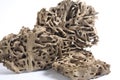 Termite infested wood close Royalty Free Stock Photo