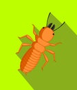 Termite Insect Vector Illustration Royalty Free Stock Photo