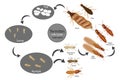 Termite Life Cycle and Reproduction, Caste, social organization Royalty Free Stock Photo