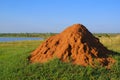 Termite mound Royalty Free Stock Photo