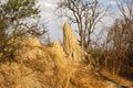 Termite mound Royalty Free Stock Photo