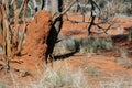 Termite mound in the Australian bush Royalty Free Stock Photo