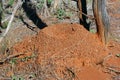 Termite mound in the Australian bush Royalty Free Stock Photo