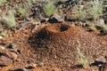 Termite mound in the Australian bush Royalty Free Stock Photo