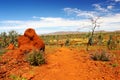Termite Mound in Australian Outback, Western Australia Royalty Free Stock Photo