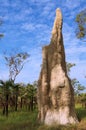 Termite Mound