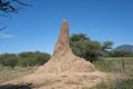 Termite mound or termite hill Royalty Free Stock Photo