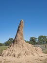 Termite mound or termite hill Royalty Free Stock Photo