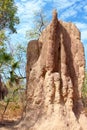 Termite Mound Royalty Free Stock Photo