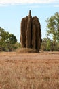 Termite Mound - Kakadu National Park, Australia Royalty Free Stock Photo