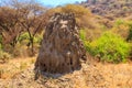 Termite mound in Lake Manyara National Park, Tanzania Royalty Free Stock Photo