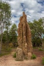 Termite Mound in Litchfield National Park, Northern Territory, Australia Royalty Free Stock Photo