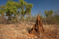 Termite mound at Mataranka Falls in Australia Royalty Free Stock Photo