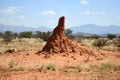 Termite mound, Namibia, Africa Royalty Free Stock Photo