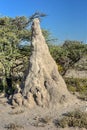 Termite Mound - Namibia Royalty Free Stock Photo