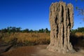 Termite Mound in Northern Australia Royalty Free Stock Photo