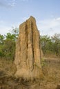 Termite mound in outback australia Royalty Free Stock Photo