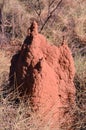 Termite mound in outback Australia Royalty Free Stock Photo