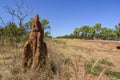 Termite mound in the outback of Australia Royalty Free Stock Photo