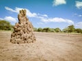 Termite mound in Tarangire National Park in Tanzania Royalty Free Stock Photo