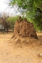 Termite mound in Tarangire National Park, Tanzania Royalty Free Stock Photo