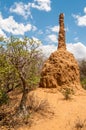 Termite mound