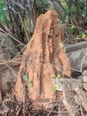 A Termite mound or Termite hill stands tall in a deserted area. Royalty Free Stock Photo