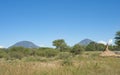 Termite mound or termite hill Royalty Free Stock Photo