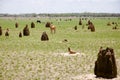 Termite Mounds - Australia Royalty Free Stock Photo