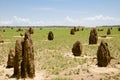 Termite Mounds - Australia Royalty Free Stock Photo