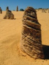 Termite mounds. Australia. Royalty Free Stock Photo